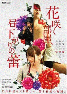 安徽广播影视作品详情配图